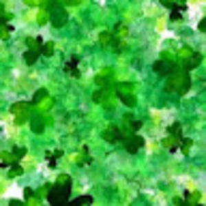 Meet your Posher, Aastha